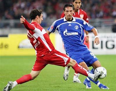 这一全新的 这一全新的